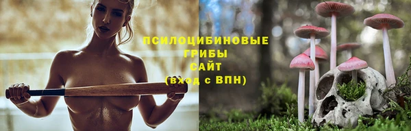прущие крисы Зерноград
